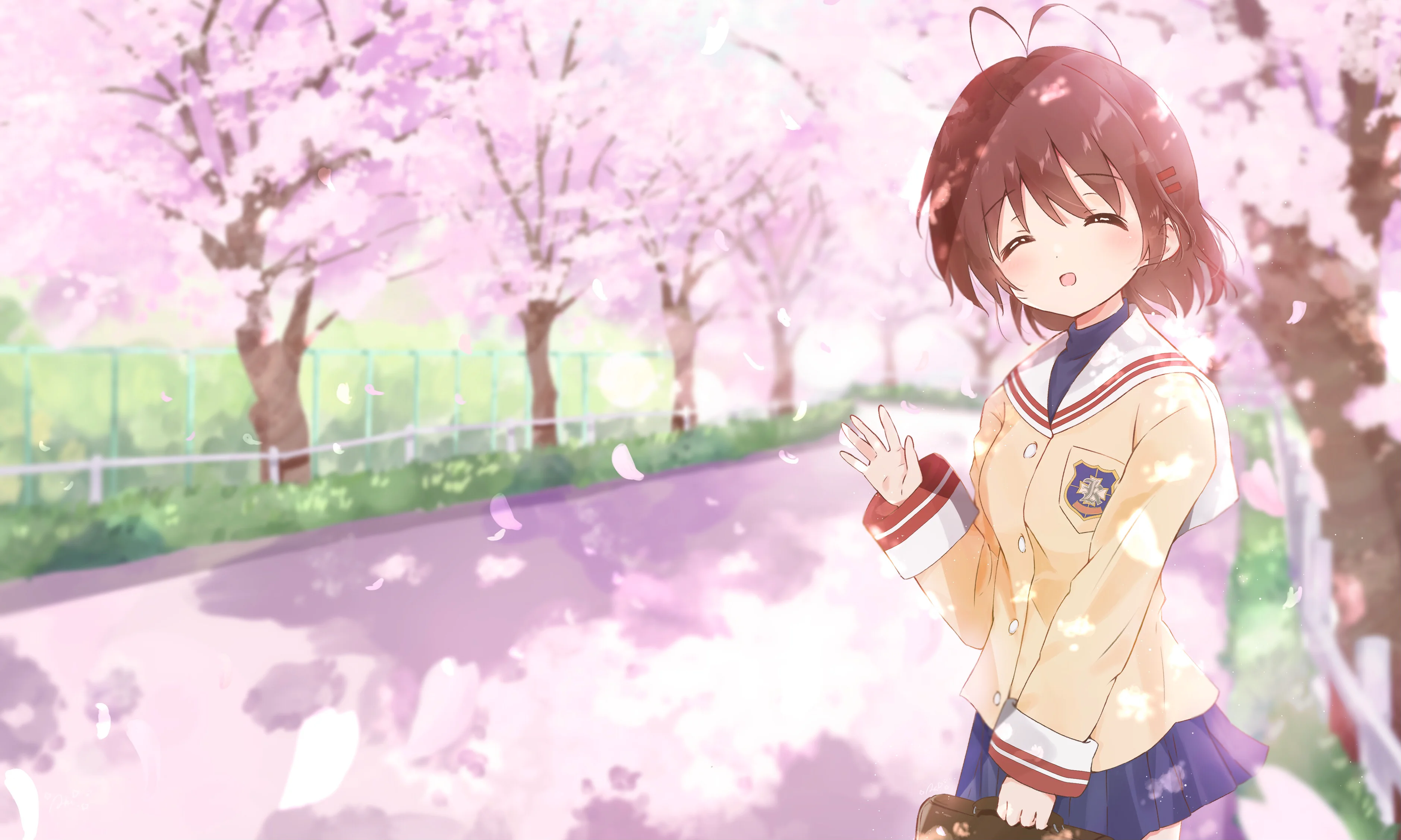Desktop background image of the blog